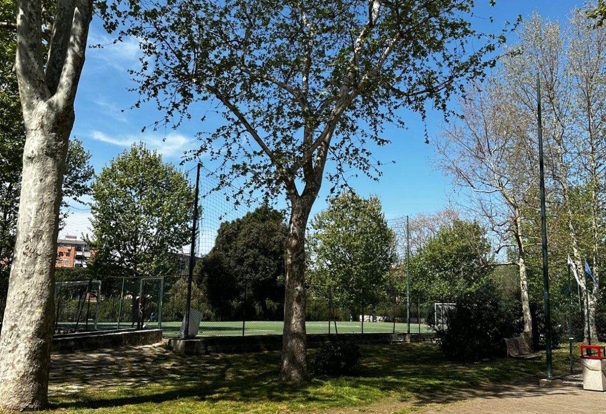 WhatsApp Image 2025-04-15 at 18.55.29