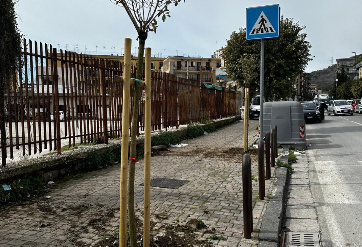 PIANTUMAZIONE VIA EPOMEO